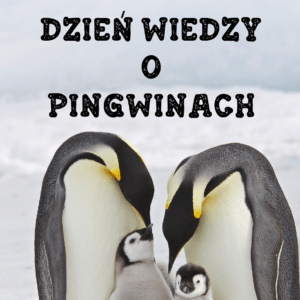 Dzień Wiedzy o Pingwinach - DARMOWE DO POBRANIA