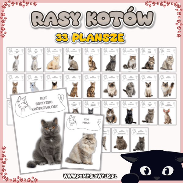 Rasy kotów – zestaw 33 plansz demonstracyjnych