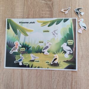 42 KRZ - Wiosenne ptaki – karta na rzepy