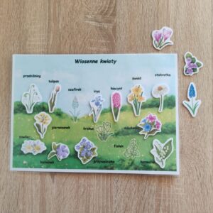 41 KRZ - Wiosenne kwiaty  – karta na rzepy