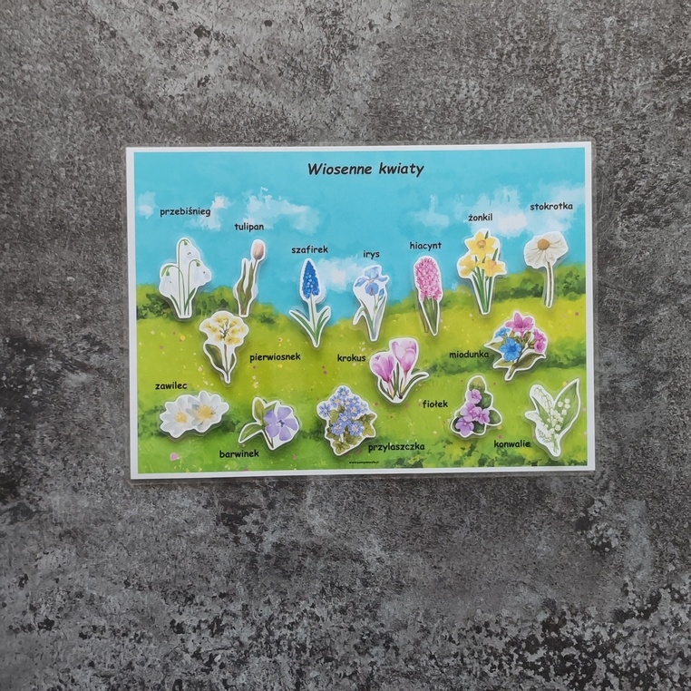 Wiosenne kwiaty  – karta na rzepy