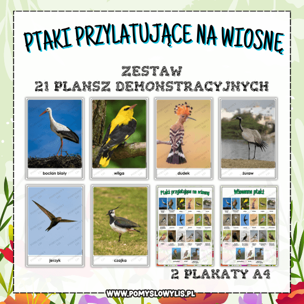 Ptaki przylatujące na wiosnę – zestaw 21 plansz demonstracyjnych