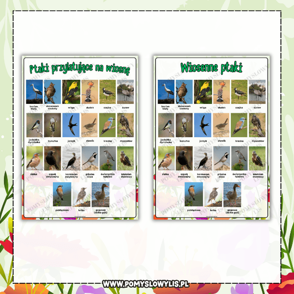Ptaki przylatujące na wiosnę – zestaw 21 plansz demonstracyjnych - obrazek 3