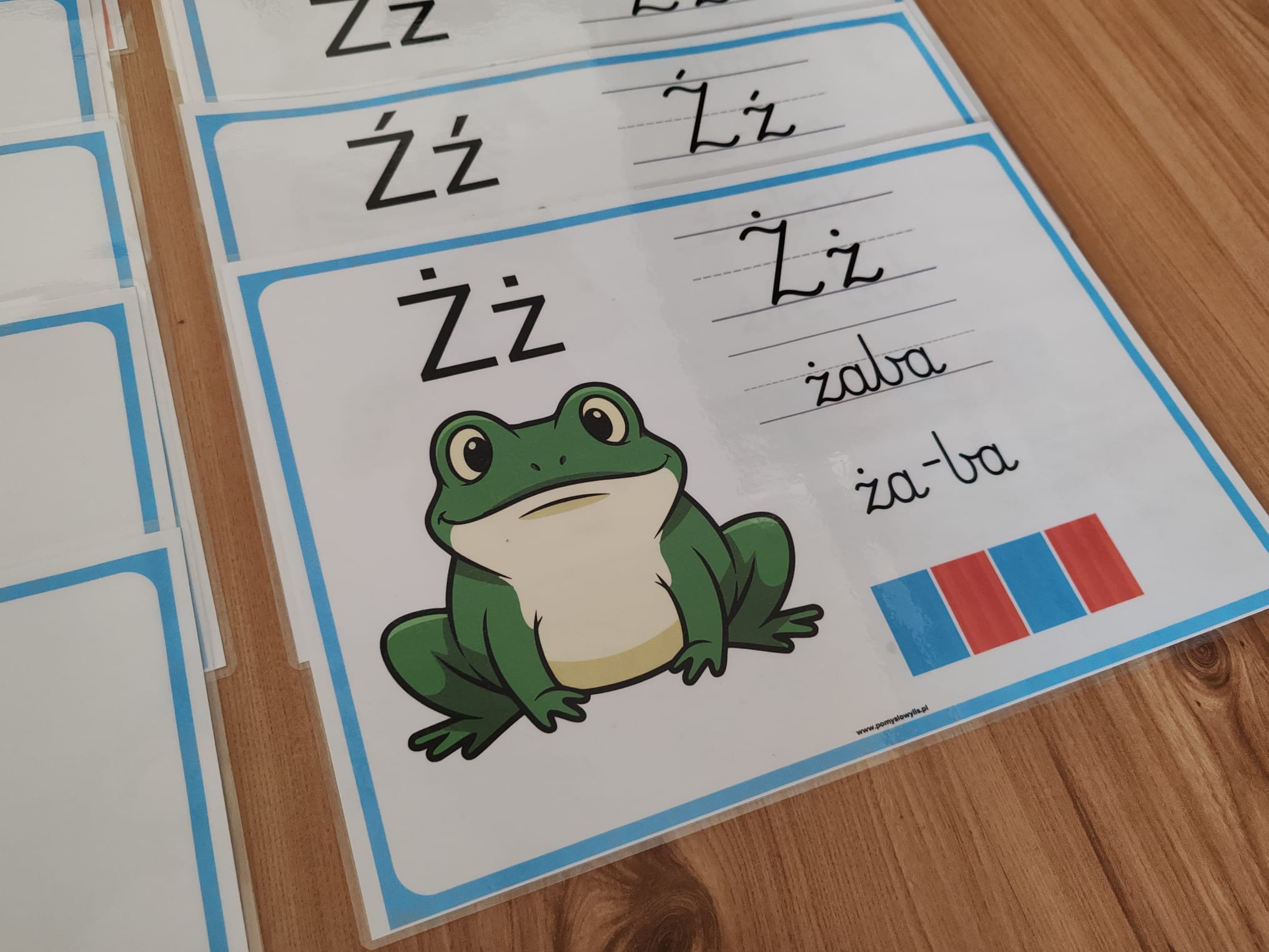 Monografia Liter – zestaw 32 plansz A4 (LAMINOWANE) - obrazek 5