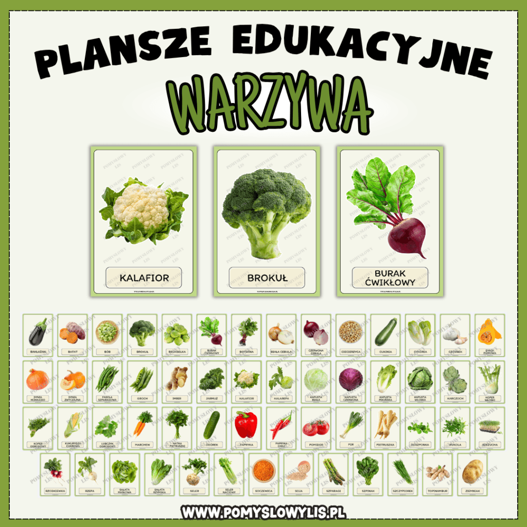 Warzywa – plansze edukacyjne | 55 plansz